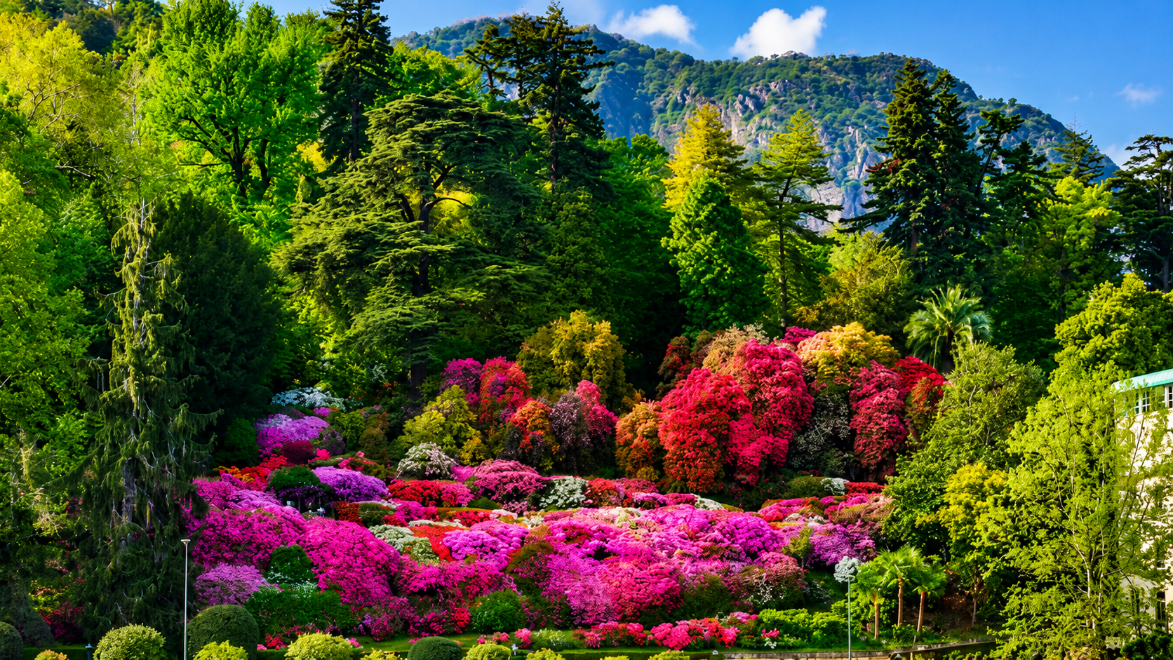 Giardino Botanico / Essenza Lago di COMO / Porro 1893
