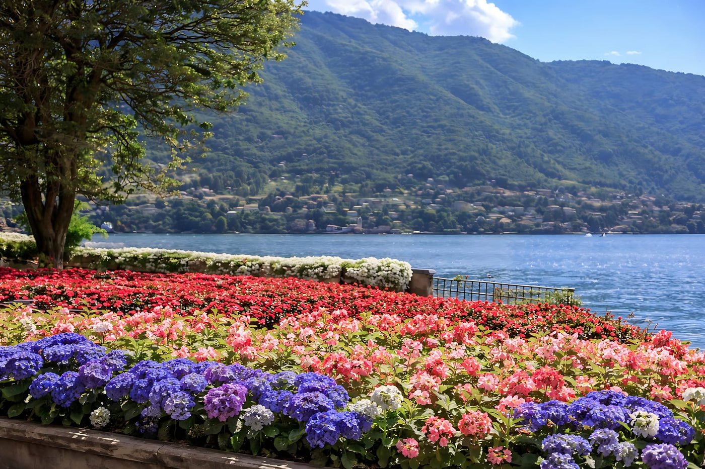 I GIARDINI BOTANICI SUL LAGO DI COMO